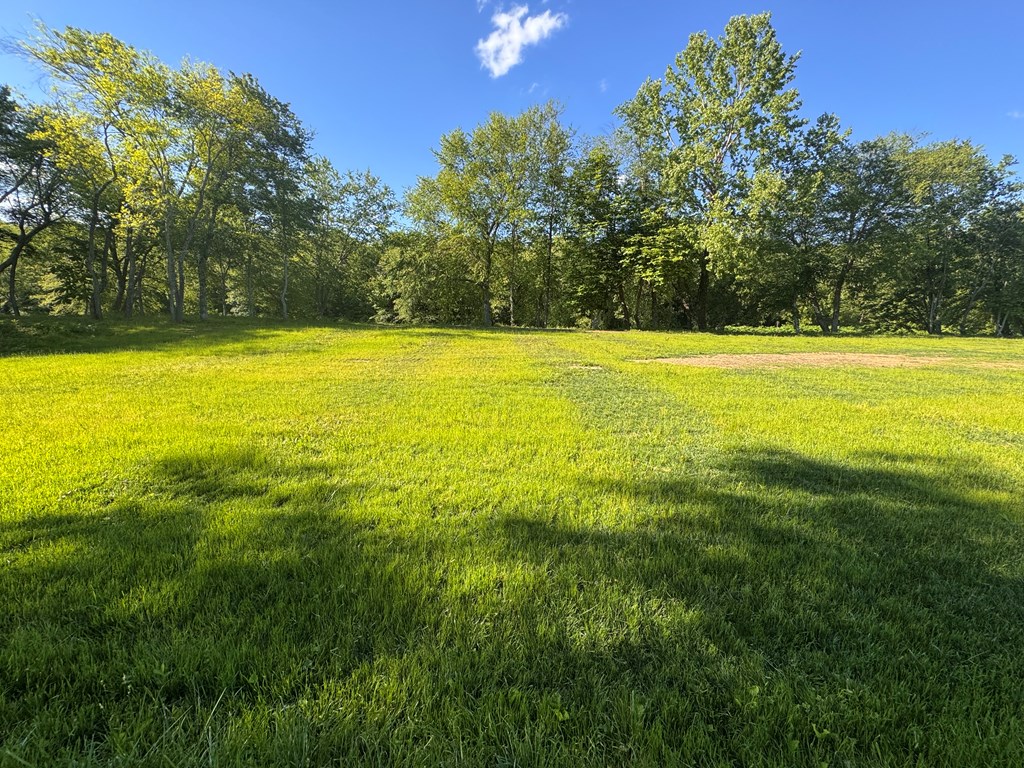 Lot 2 Grassy Creek Road Copperhill, TN 37317 - Photo 21 of 22