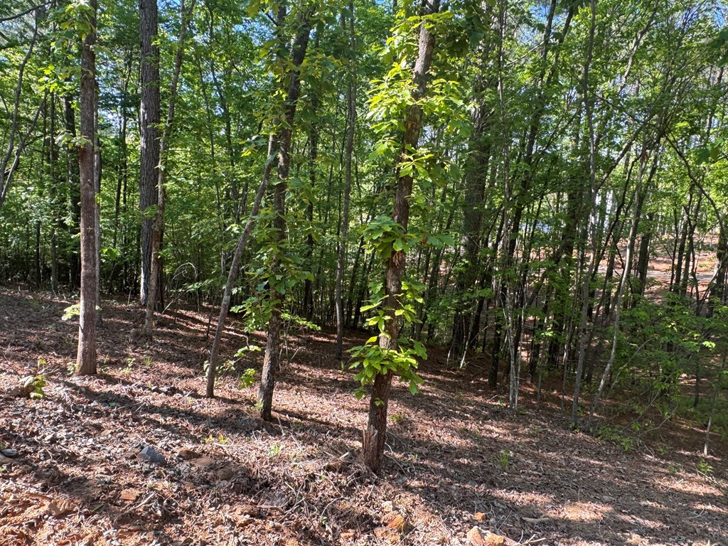 Lot 2 Grassy Creek Road Copperhill, TN 37317 - Photo 22 of 22