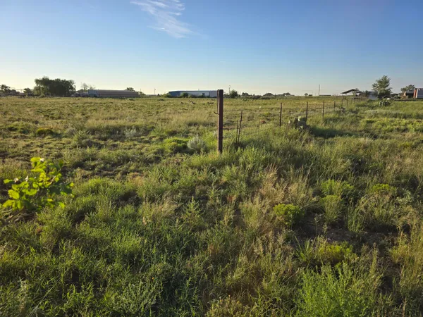 a view of a back yard