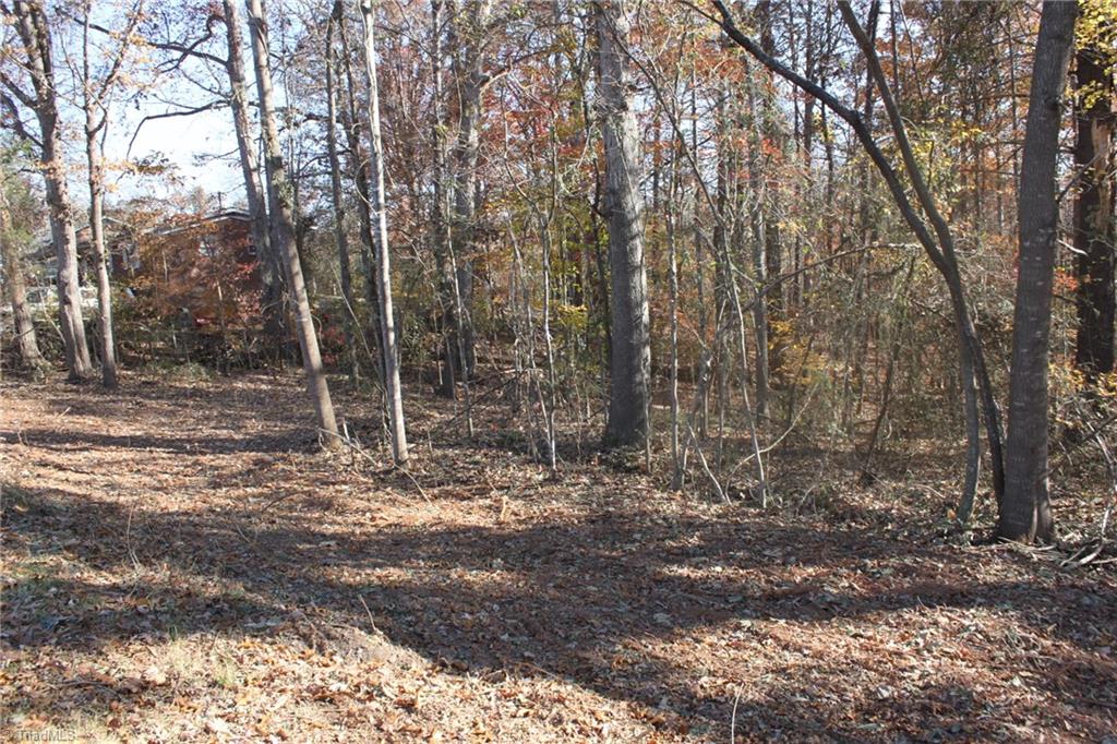 0 Collins Road Elkin, NC 28621 - Photo 2 of 5 Gallery Image 2