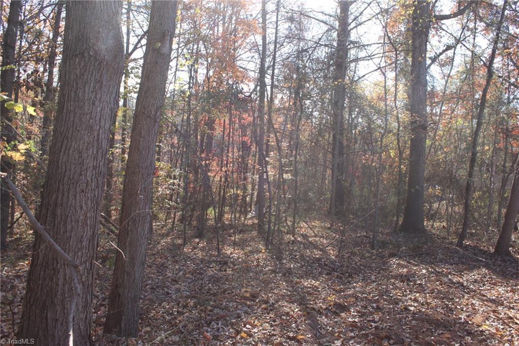 0 Collins Road Elkin, NC 28621 - Photo 3 of 5 Gallery Image 3