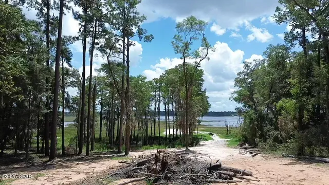 $64,999 | Lot 12 Hicks Lake Trail, Vernon, FL 32462