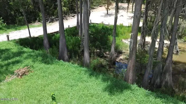 $64,999 | Lot 12 Hicks Lake Trail, Vernon, FL 32462