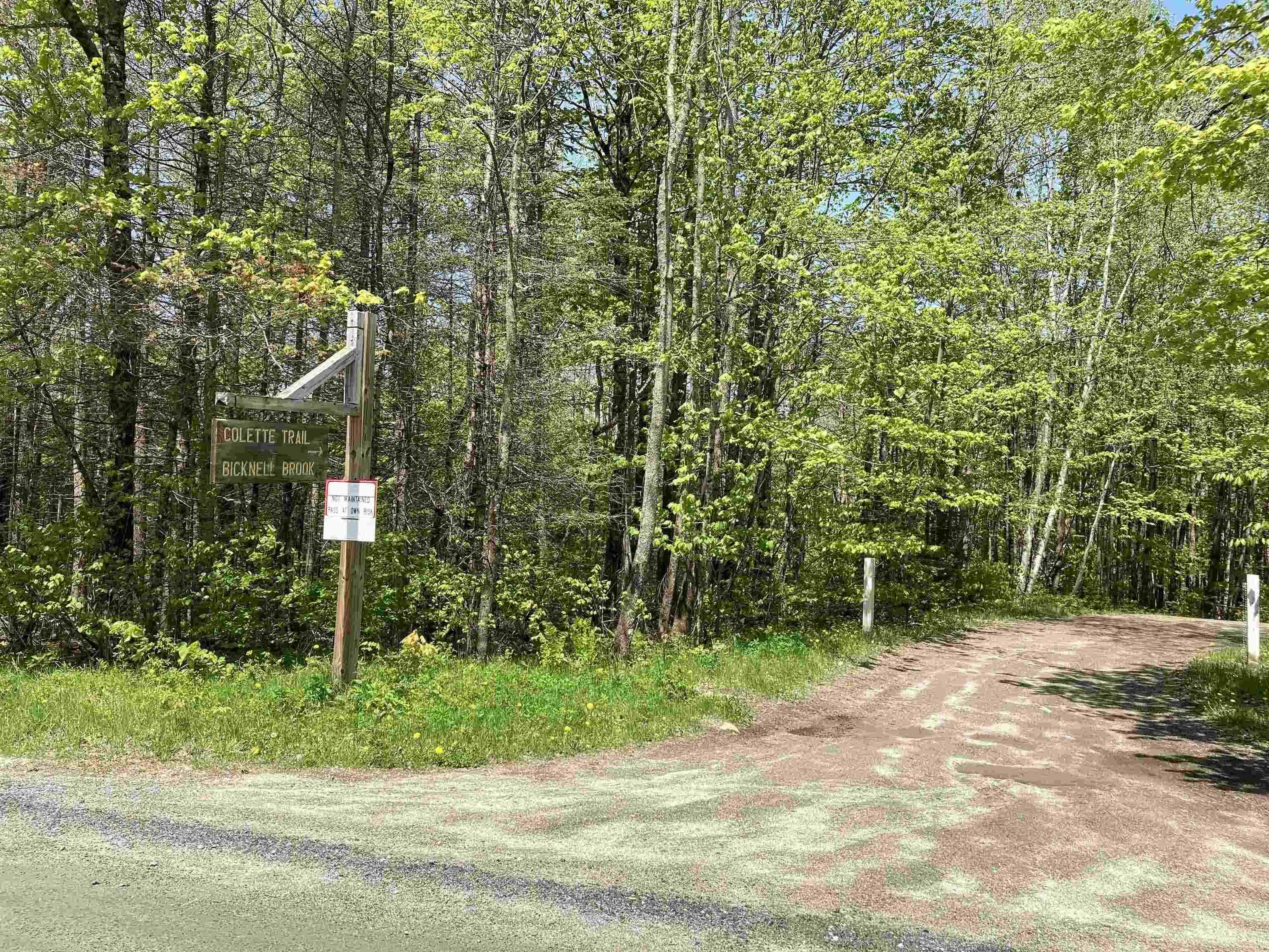 139 Ibey Road Enfield, NH 03748 - Photo 50 of 52