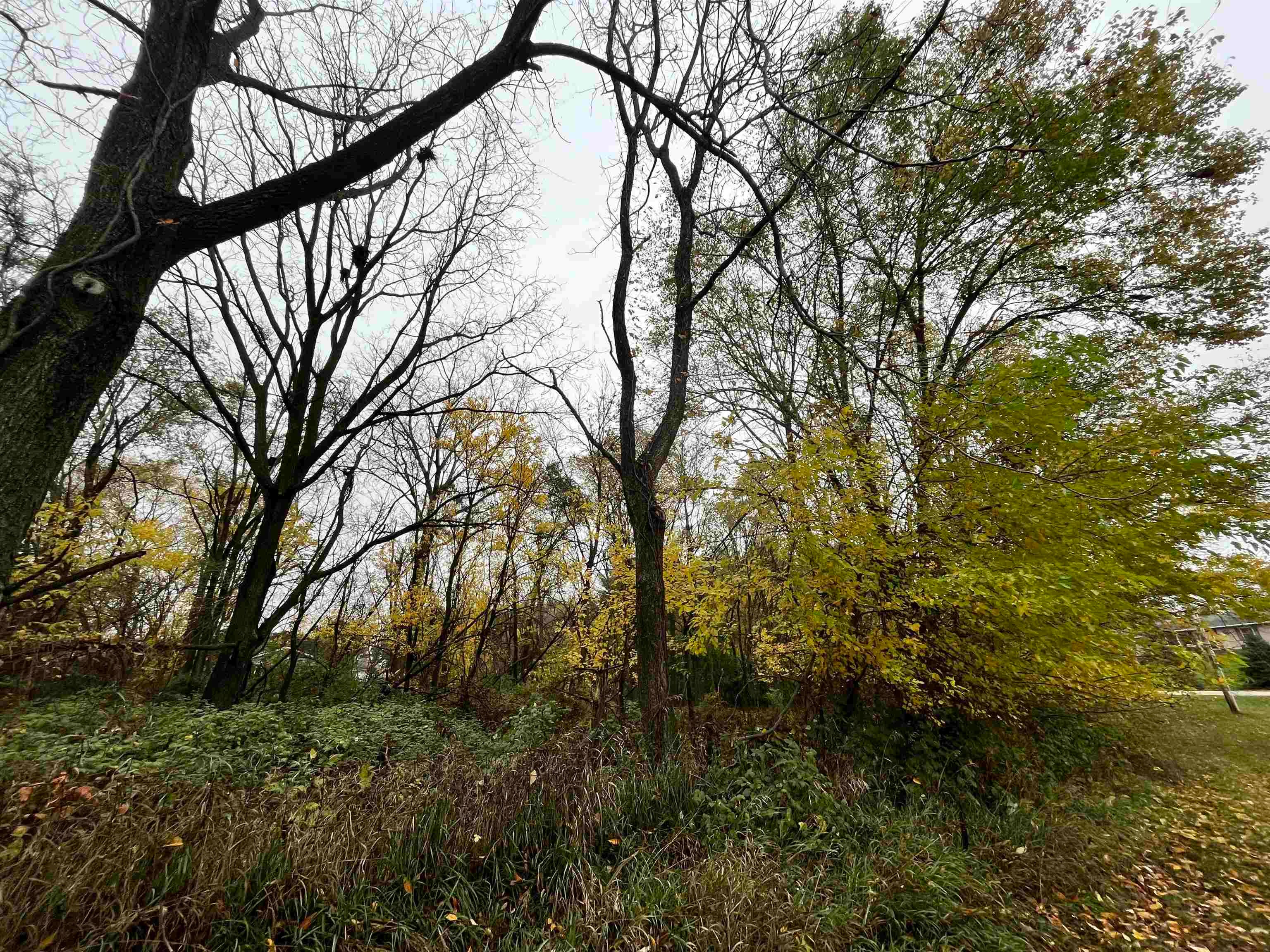 Lot Timber Timber Ridge Street Dubuque, IA 52001 - Photo 8 of 10 Gallery Image 8
