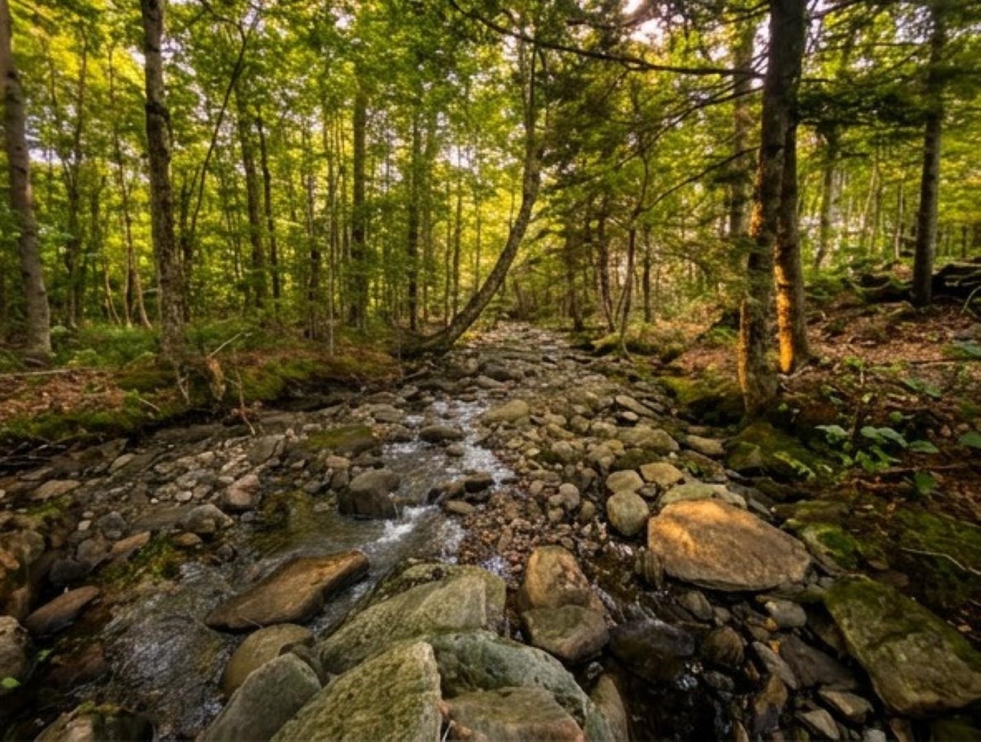 1765 Stevens Mill Road Jay, VT 05859 - Photo 10 of 19 Gallery Image 10