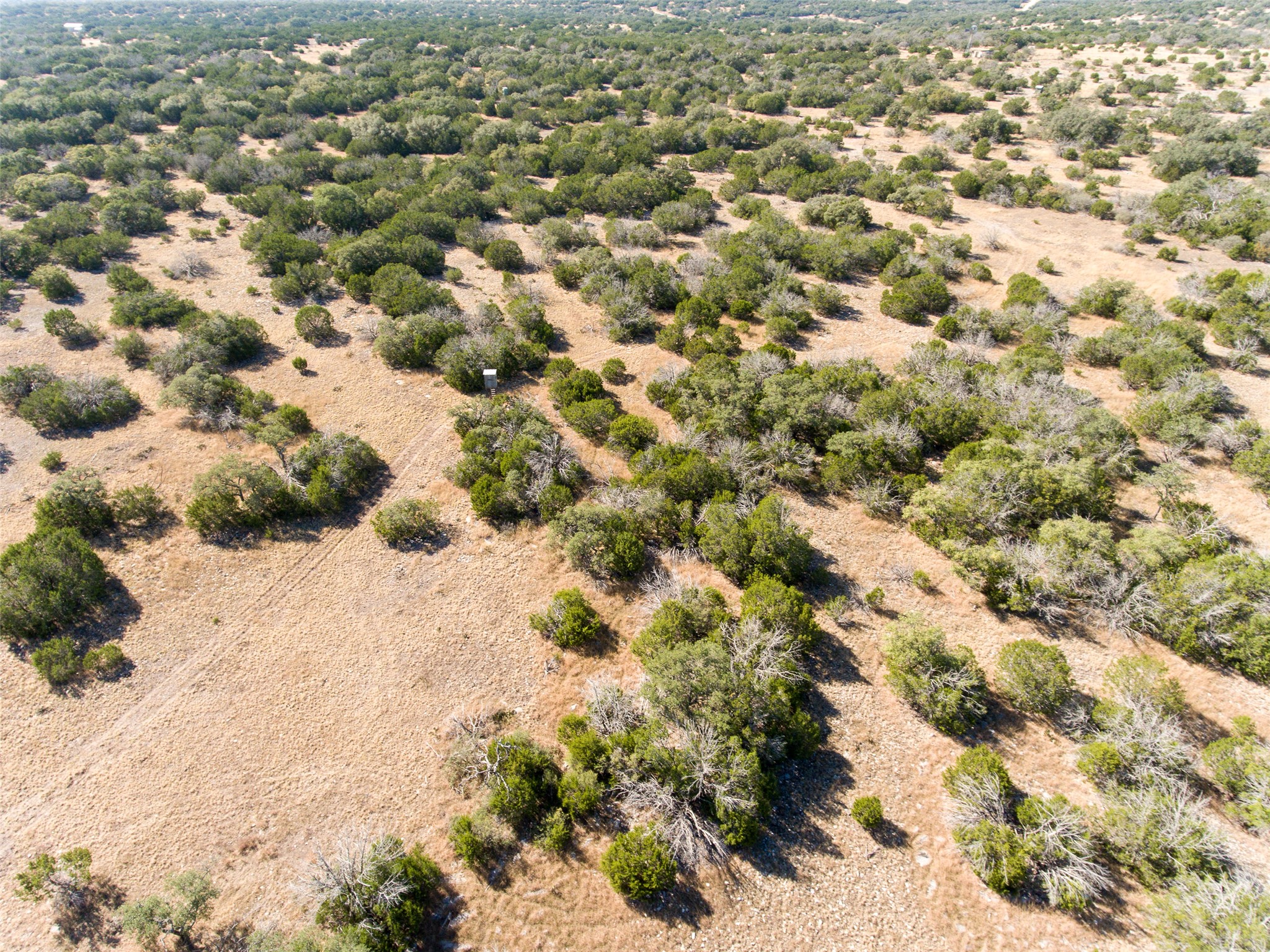 2010 Sd24740 Rocksprings, TX 78880 - Photo 15 of 29 Overview of rural landscape with a desert landscape