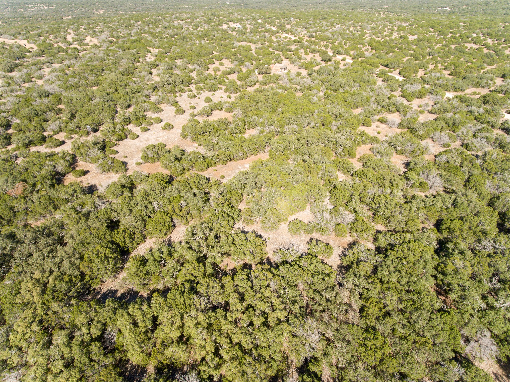 2010 Sd24740 Rocksprings, TX 78880 - Photo 18 of 29 View of property location