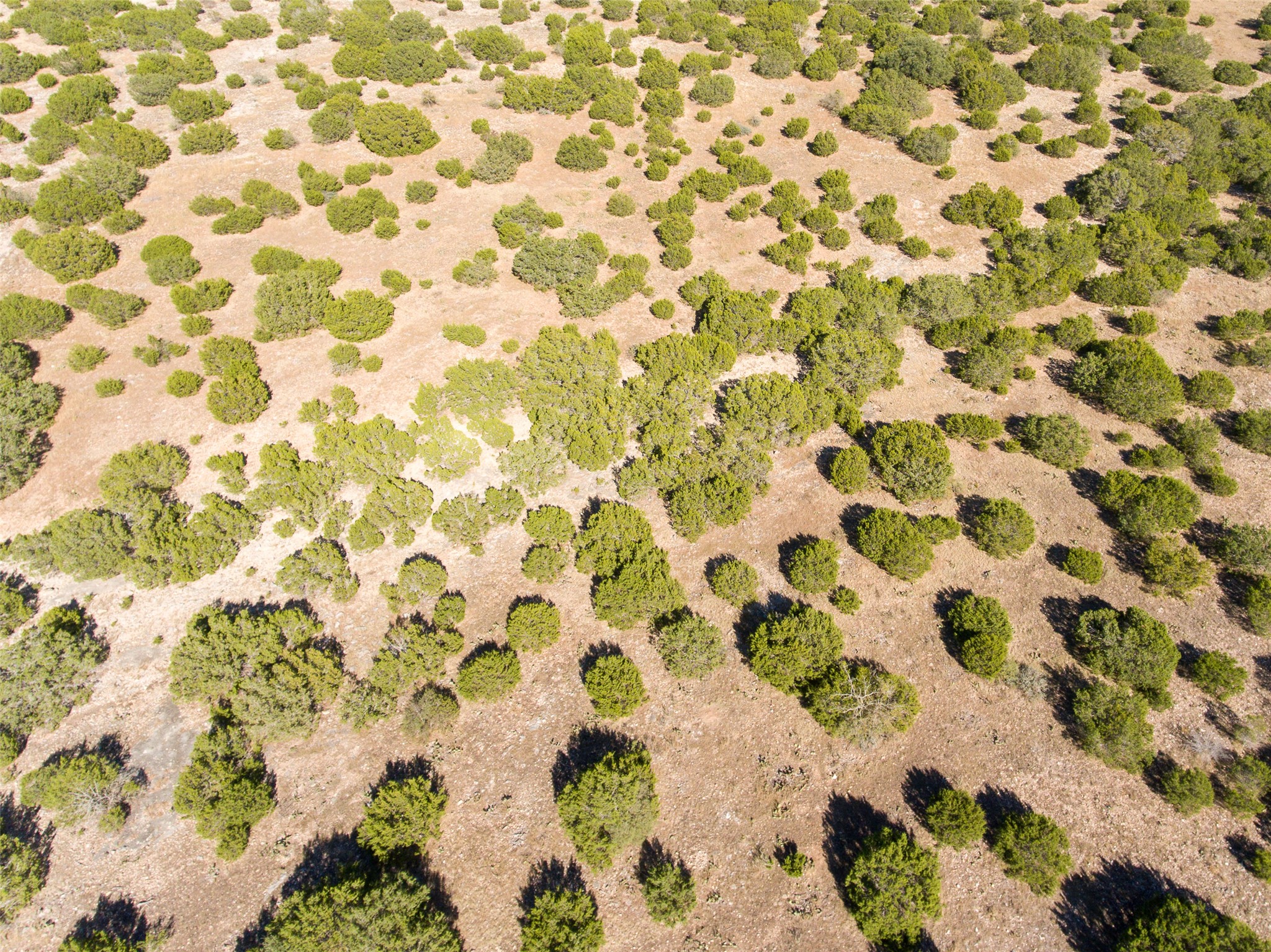 2010 Sd24740 Rocksprings, TX 78880 - Photo 21 of 29 Aerial view of sparsely populated area featuring a desert landscape