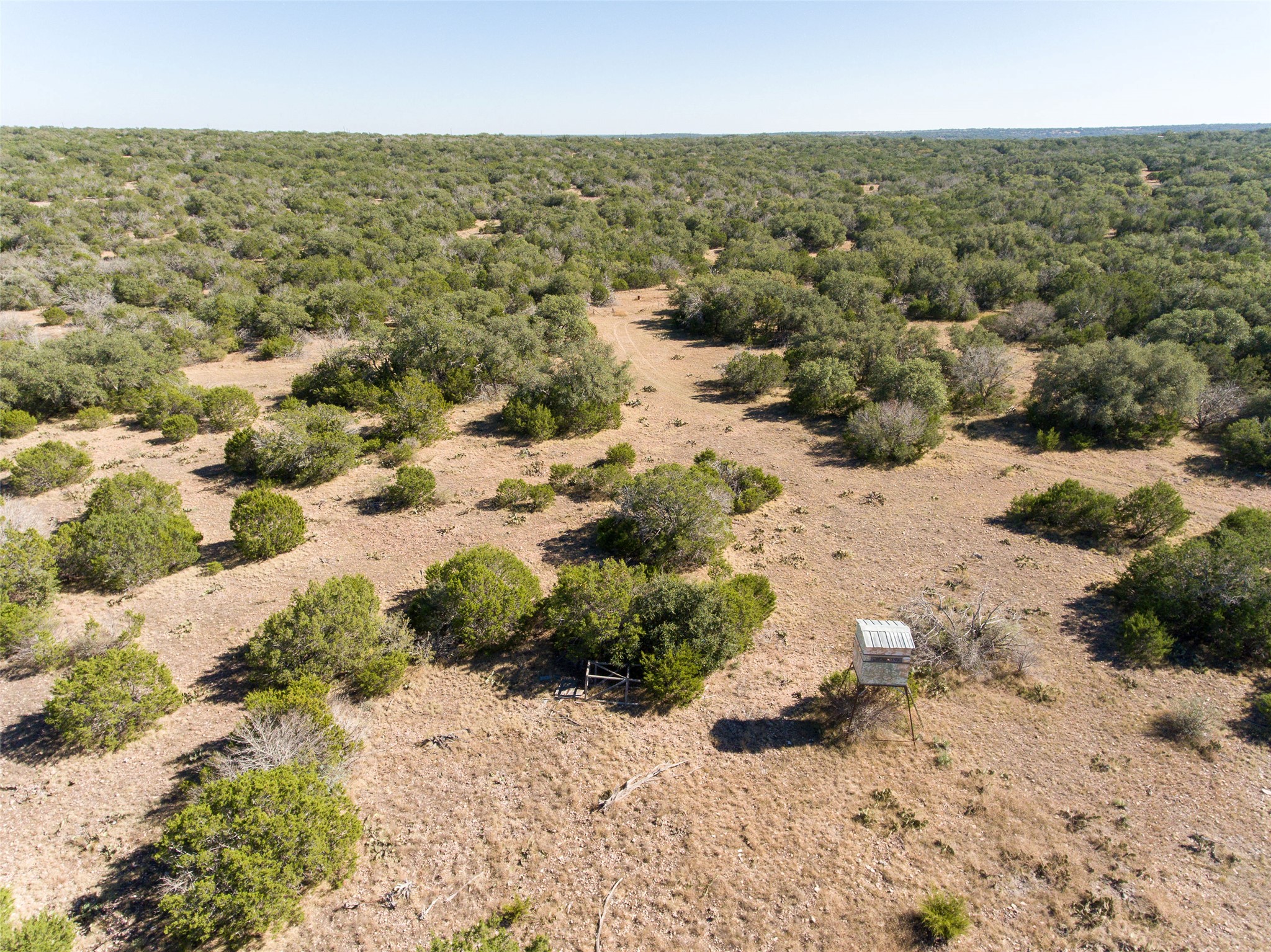 2010 Sd24740 Rocksprings, TX 78880 - Photo 10 of 29 Aerial view of a heavily wooded area