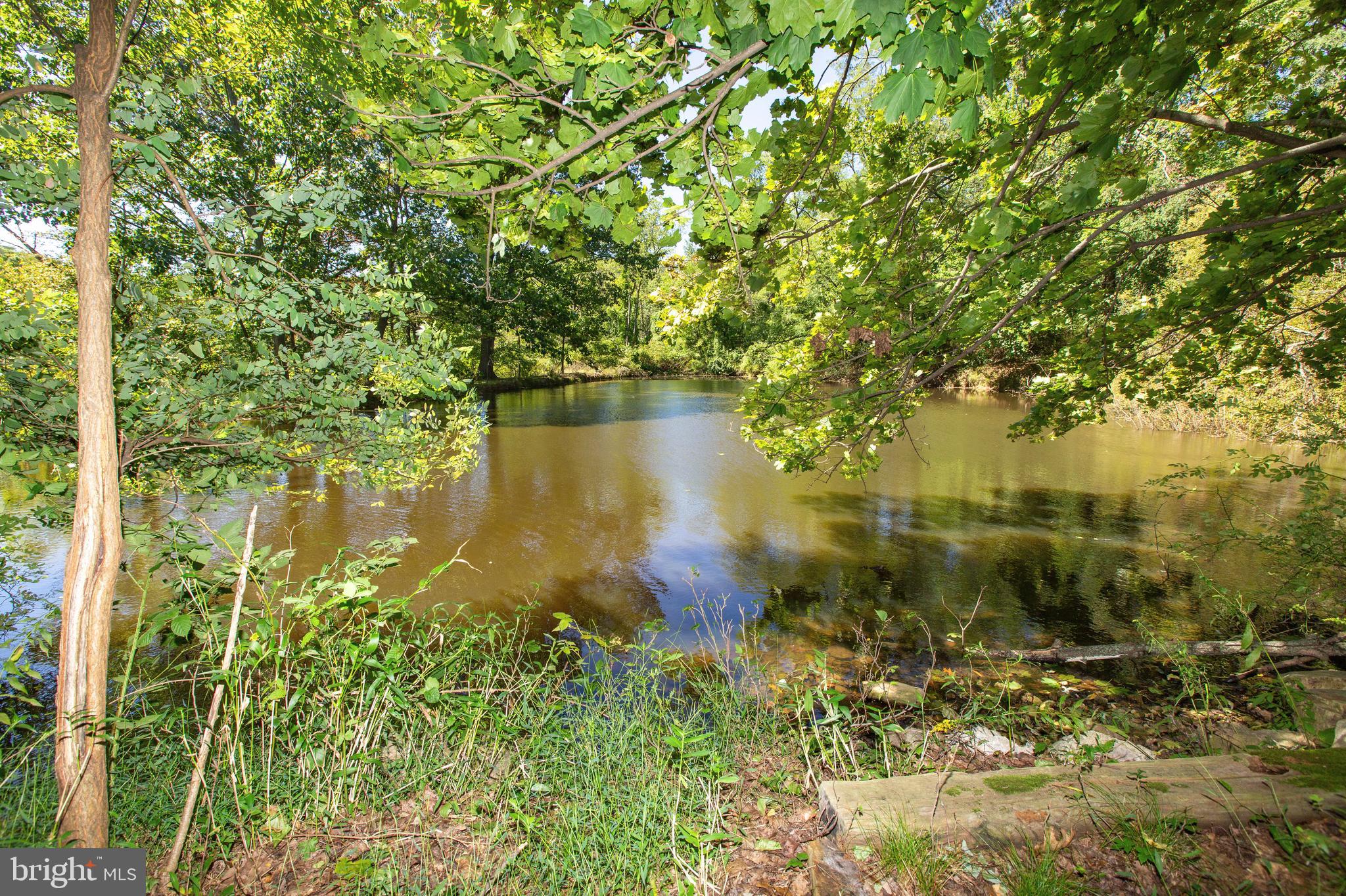 114 Wissinger Road Boyertown, PA 19512 - Photo 32 of 33 Pond