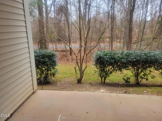 a view of a yard with plants and trees