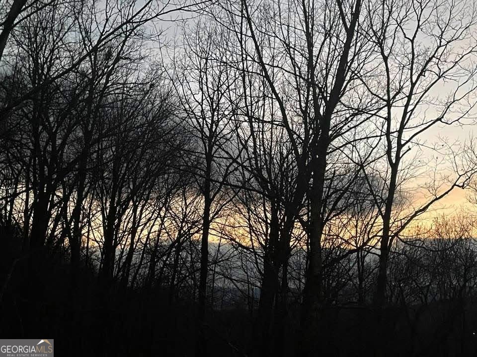 235 Oak Rdg Estate Murphy, NC 28906 - Photo 50 of 54 a backyard of a house with lots of green space