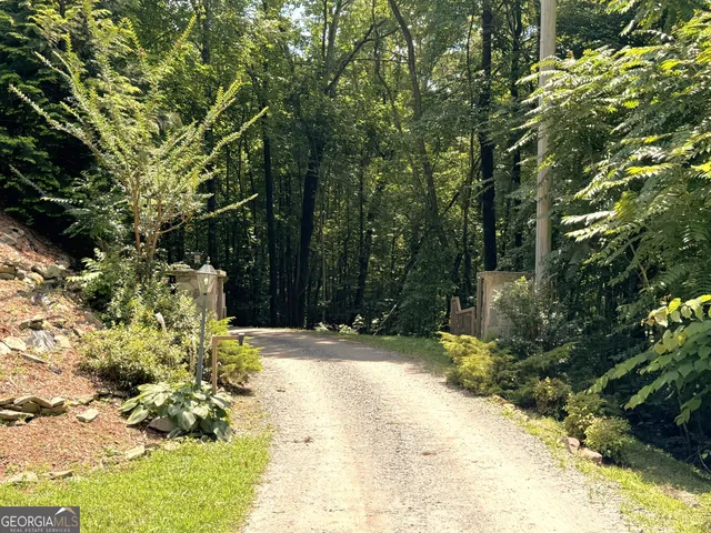 a view of a pathway with a tree