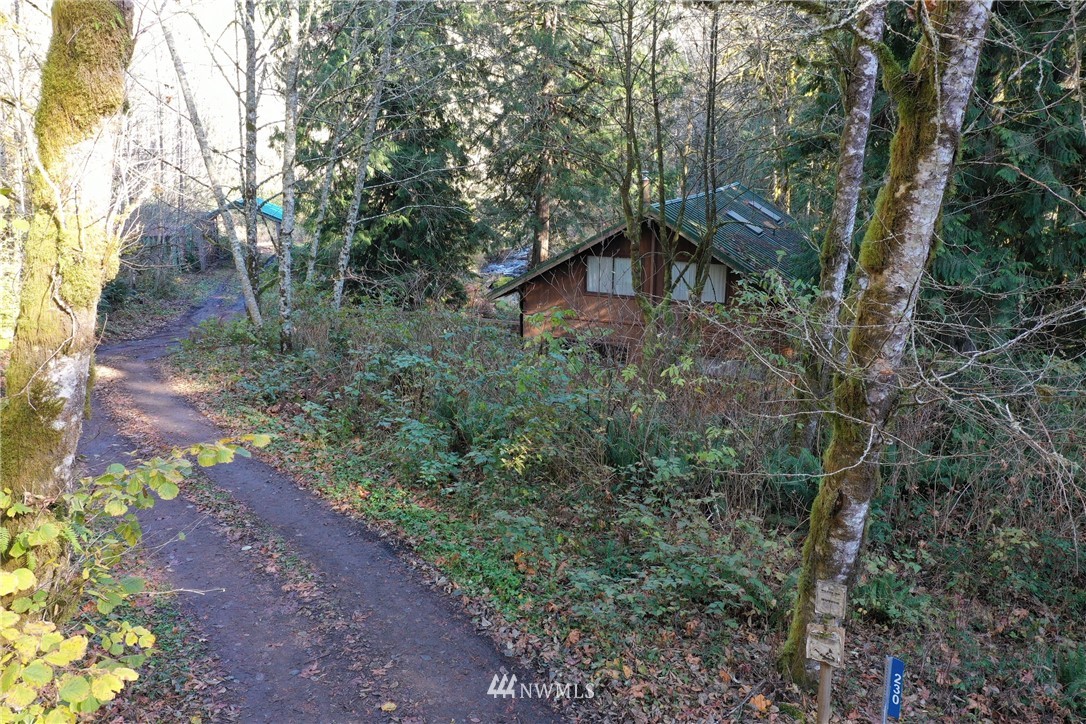 230 Wilcox Road Salkum, WA 98582 - Photo 4 of 18 a view of a house with a yard