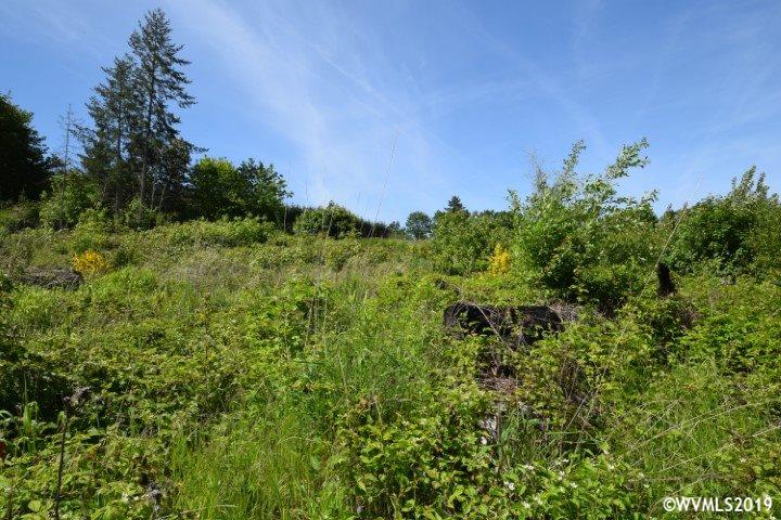 12055 Oak Road Northwest Salem, OR 97304 - Photo 27 of 29 Gallery Image 27