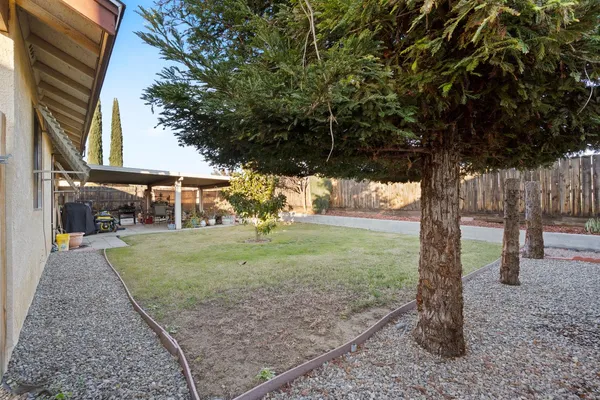 a view of a backyard