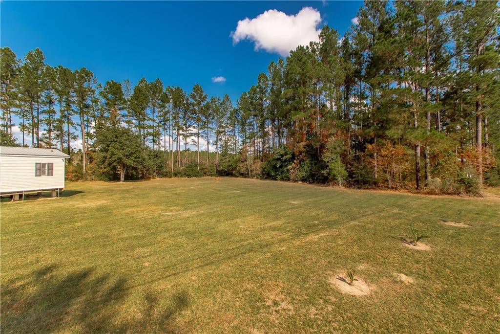 28699 Ross Trail Albany, LA 70711 - Photo 18 of 19