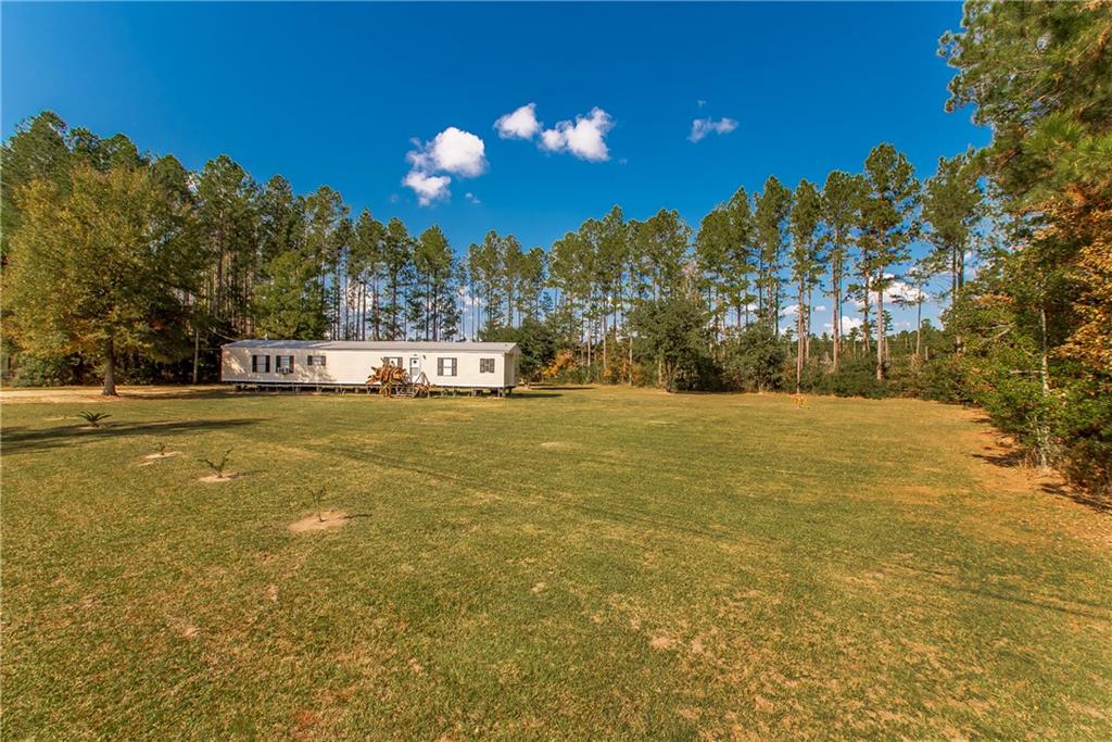 28699 Ross Trail Albany, LA 70711 - Photo 19 of 19