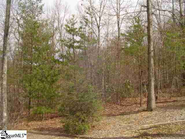 Lot 8 Glassy Ridge Lane Landrum, SC 29356 - Photo 1 of 15 Gallery Image 1