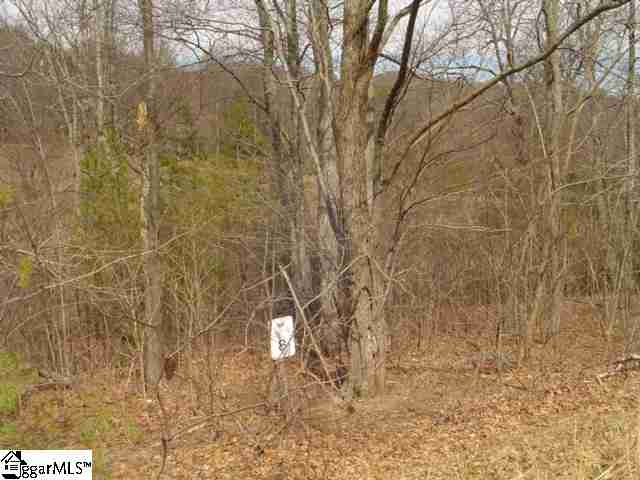 Lot 8 Glassy Ridge Lane Landrum, SC 29356 - Photo 2 of 15 Gallery Image 2