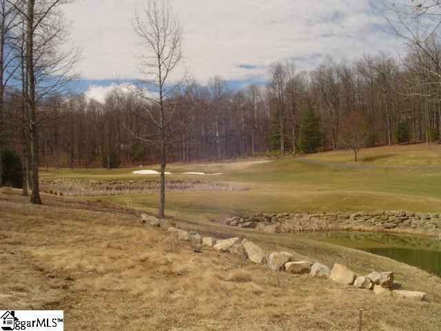 Lot 8 Glassy Ridge Lane Landrum, SC 29356 - Photo 3 of 15 Gallery Image 3