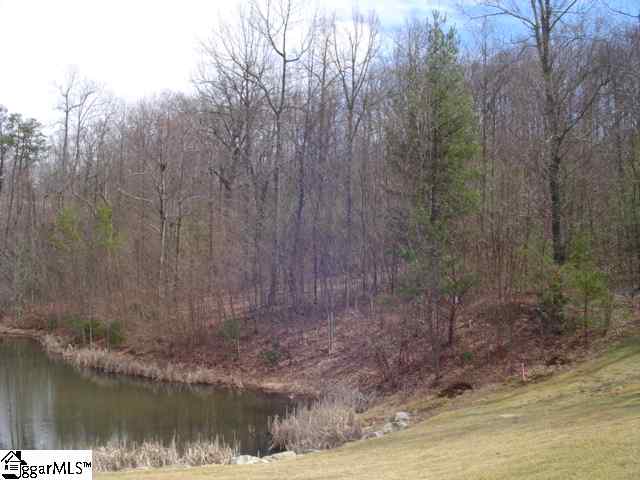 Lot 8 Glassy Ridge Lane Landrum, SC 29356 - Photo 4 of 15 Gallery Image 4