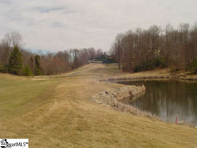Lot 8 Glassy Ridge Lane Landrum, SC 29356 - Photo 5 of 15 Gallery Image 5