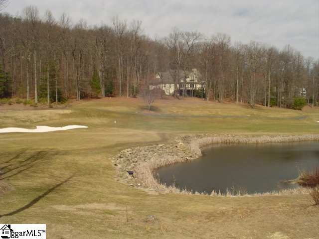 Lot 8 Glassy Ridge Lane Landrum, SC 29356 - Photo 7 of 15 Gallery Image 7