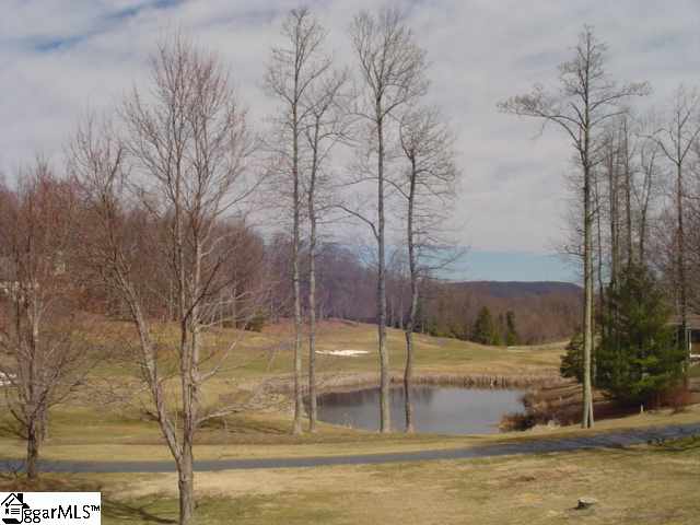 Lot 8 Glassy Ridge Lane Landrum, SC 29356 - Photo 8 of 15 Gallery Image 8