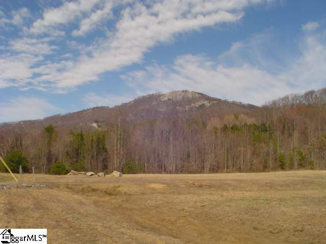 Lot 8 Glassy Ridge Lane Landrum, SC 29356 - Photo 9 of 15 Gallery Image 9