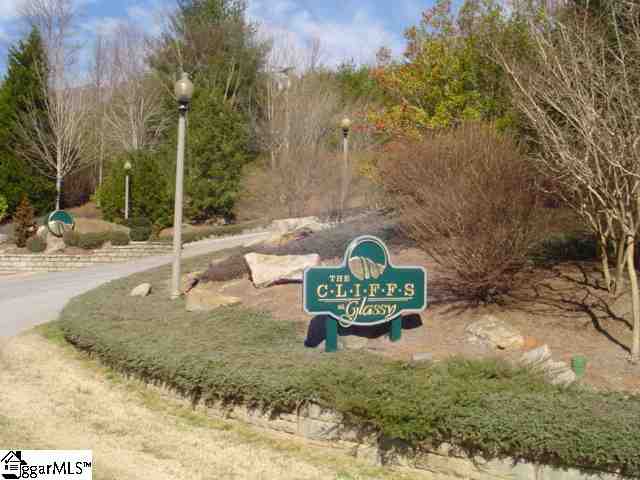 Lot 8 Glassy Ridge Lane Landrum, SC 29356 - Photo 10 of 15 Gallery Image 10