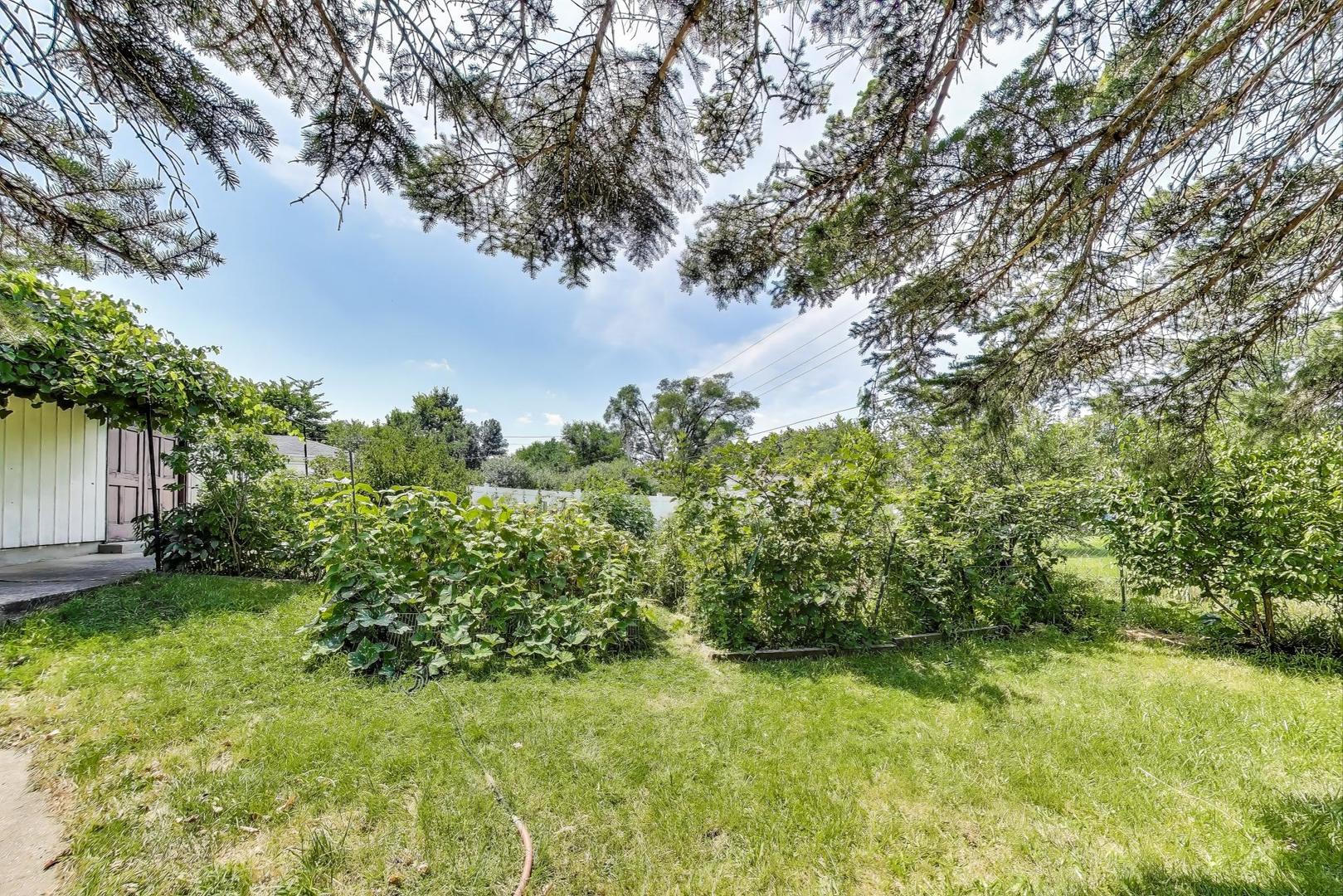 396 Stone Place Wheeling, IL 60090 - Photo 24 of 28 a view of a yard with plants and large trees