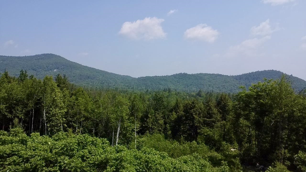 14 Mountain Ridge Road Ossipee, NH 03814 - Photo 48 of 48