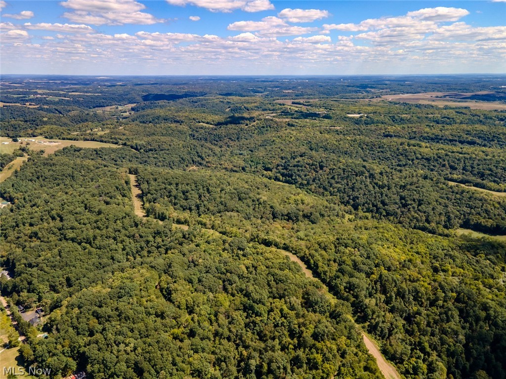 0 Brewer Road Cadiz, OH 43907 - Photo 21 of 37 Bird's eye view of a forest