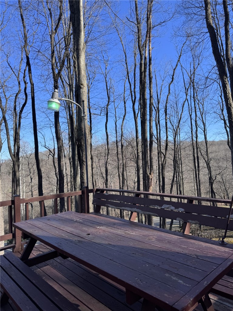 725 Red Mill Road Mount Jewett, PA 16740 - Photo 26 of 47