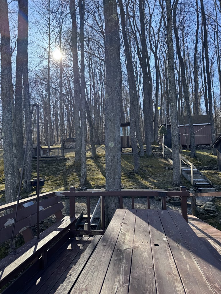 725 Red Mill Road Mount Jewett, PA 16740 - Photo 27 of 47