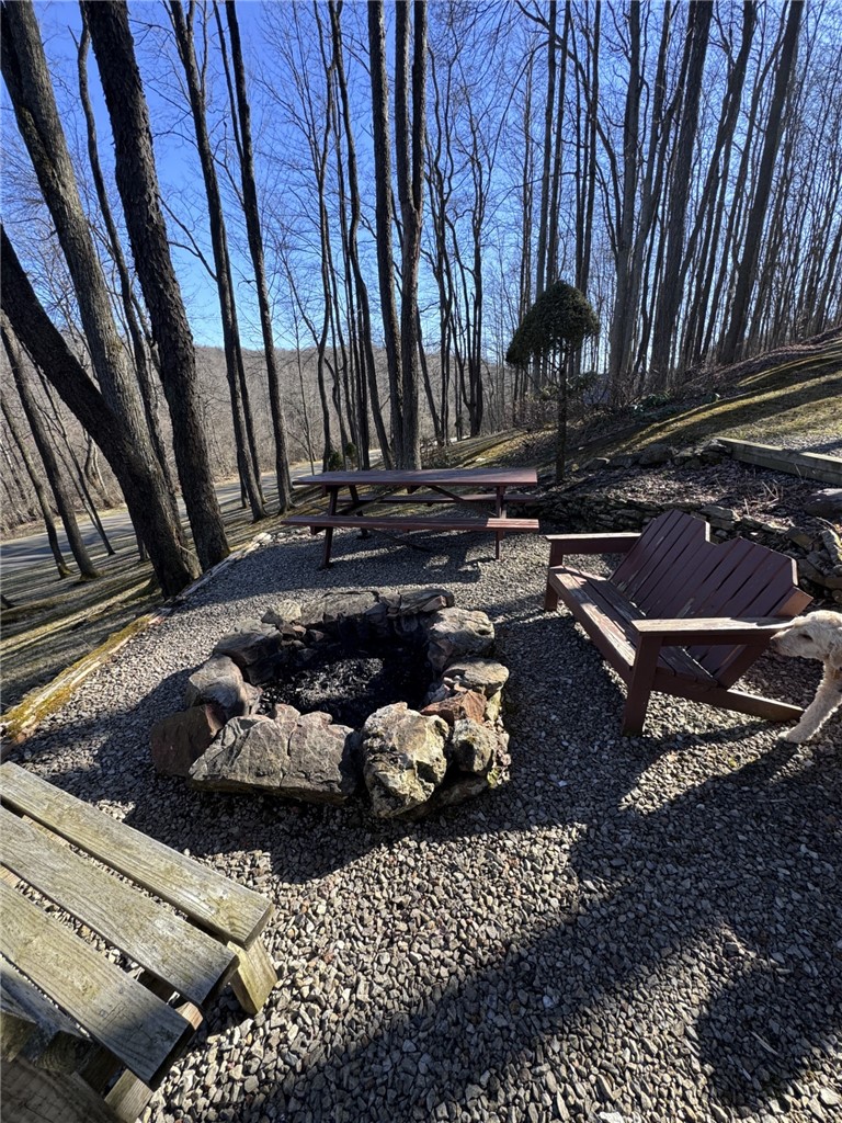 725 Red Mill Road Mount Jewett, PA 16740 - Photo 3 of 47