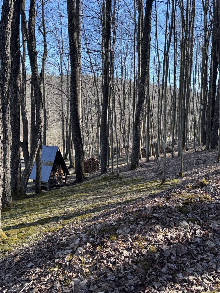 725 Red Mill Road Mount Jewett, PA 16740 - Photo 36 of 47