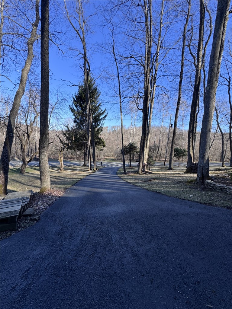 725 Red Mill Road Mount Jewett, PA 16740 - Photo 37 of 47