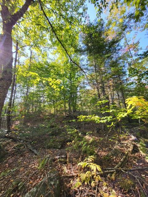 Lot 7-3 Brown Road Oakfield, ME 04763 - Photo 15 of 21 8127581351874176319