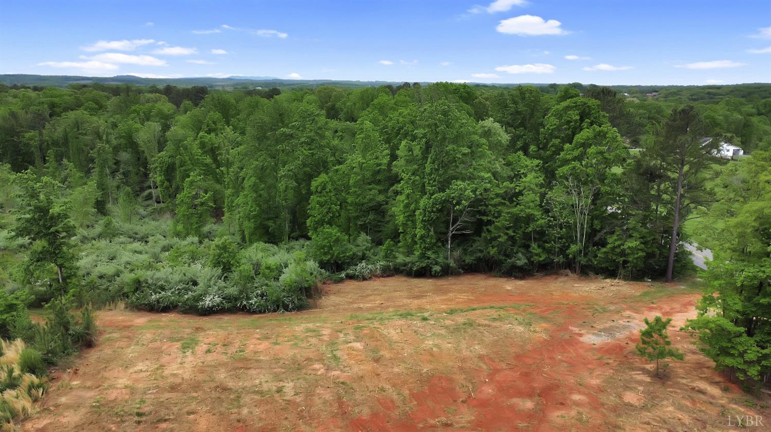 a view of a yard with a tree