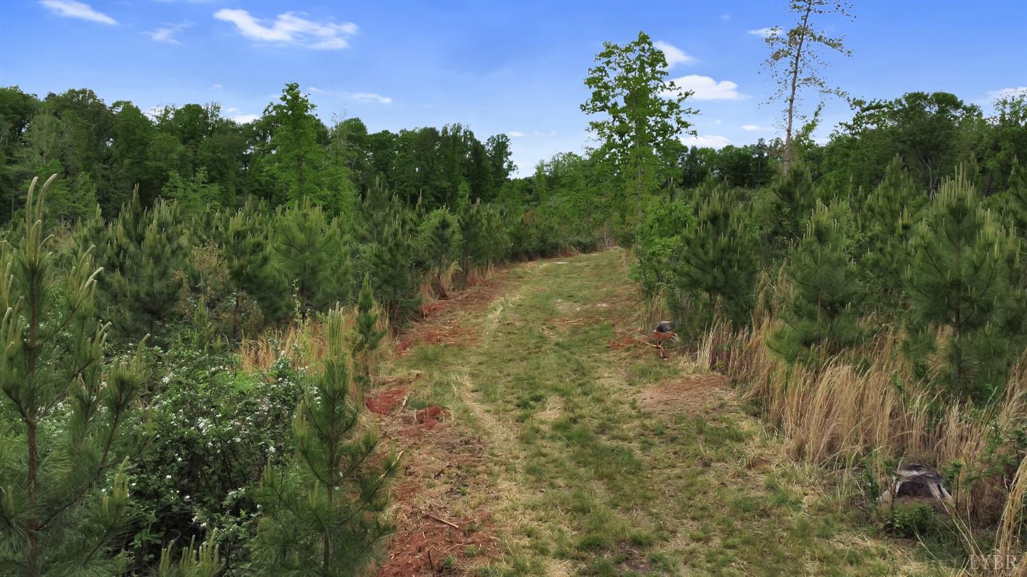 0 Skinnell Mill Road Bedford, VA 24523 - Photo 11 of 18 a view of a lake with a yard