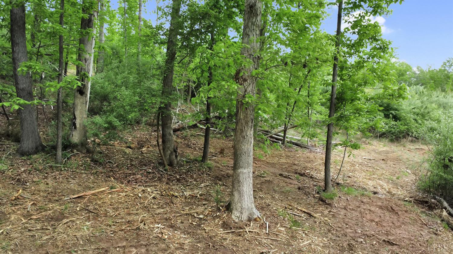 0 Skinnell Mill Road Bedford, VA 24523 - Photo 14 of 18 a view of a forest