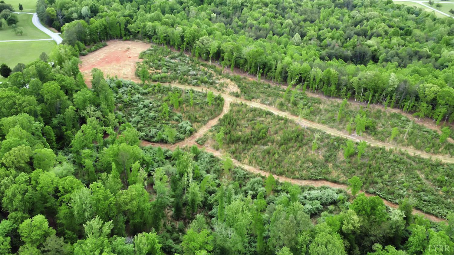0 Skinnell Mill Road Bedford, VA 24523 - Photo 4 of 18 a view of a forest with a tree