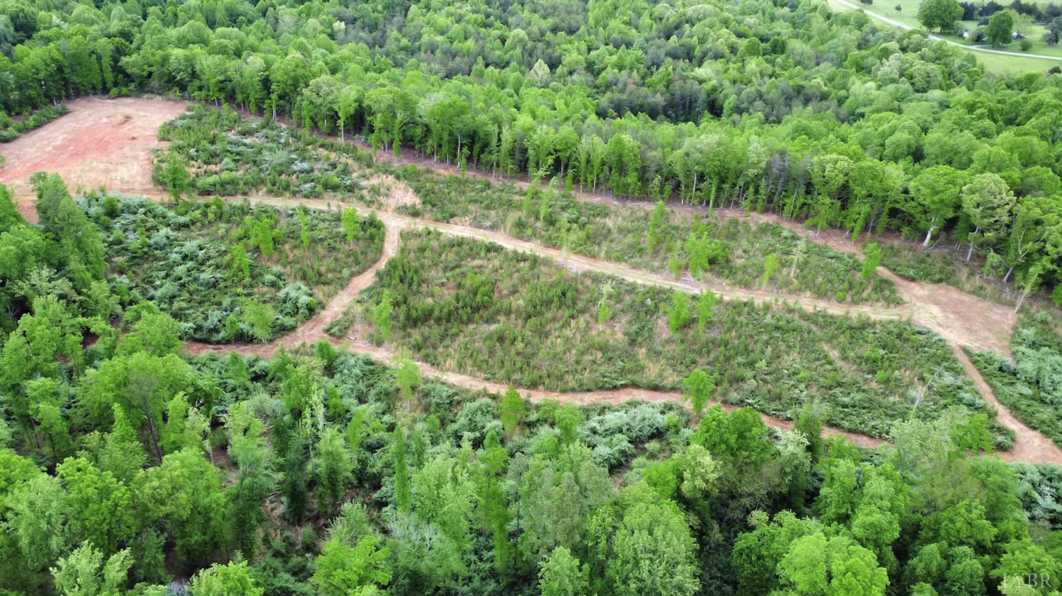 0 Skinnell Mill Road Bedford, VA 24523 - Photo 5 of 18 a view of a green yard with large trees