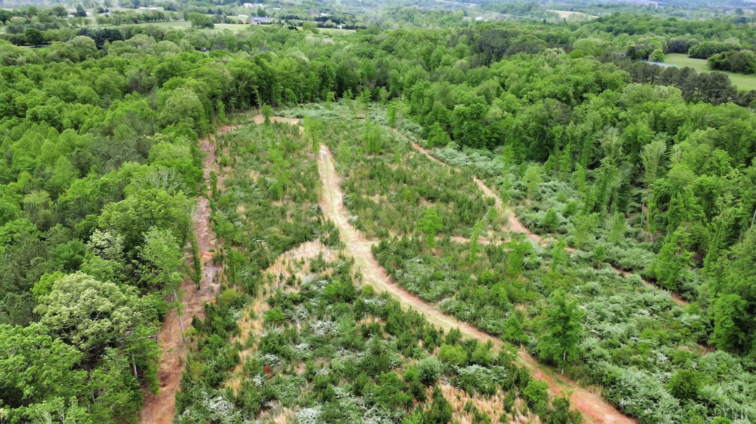 0 Skinnell Mill Road Bedford, VA 24523 - Photo 7 of 18 a view of a lush green forest