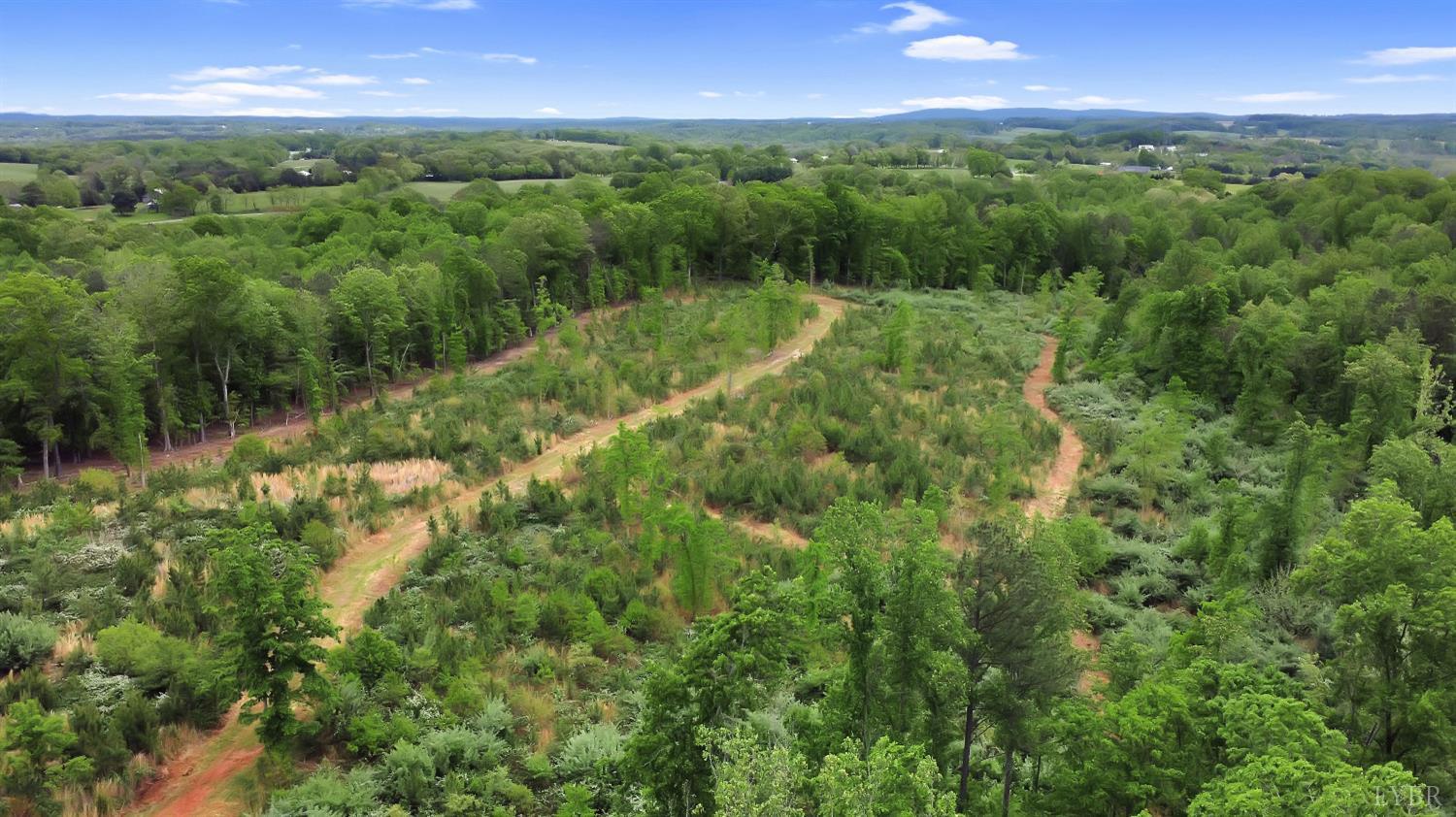 0 Skinnell Mill Road Bedford, VA 24523 - Photo 8 of 18 a view of a city with lush green forest