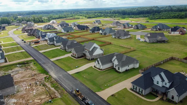 $519,000 | 4209 Brooke Drive, Nesbit, MS 38651