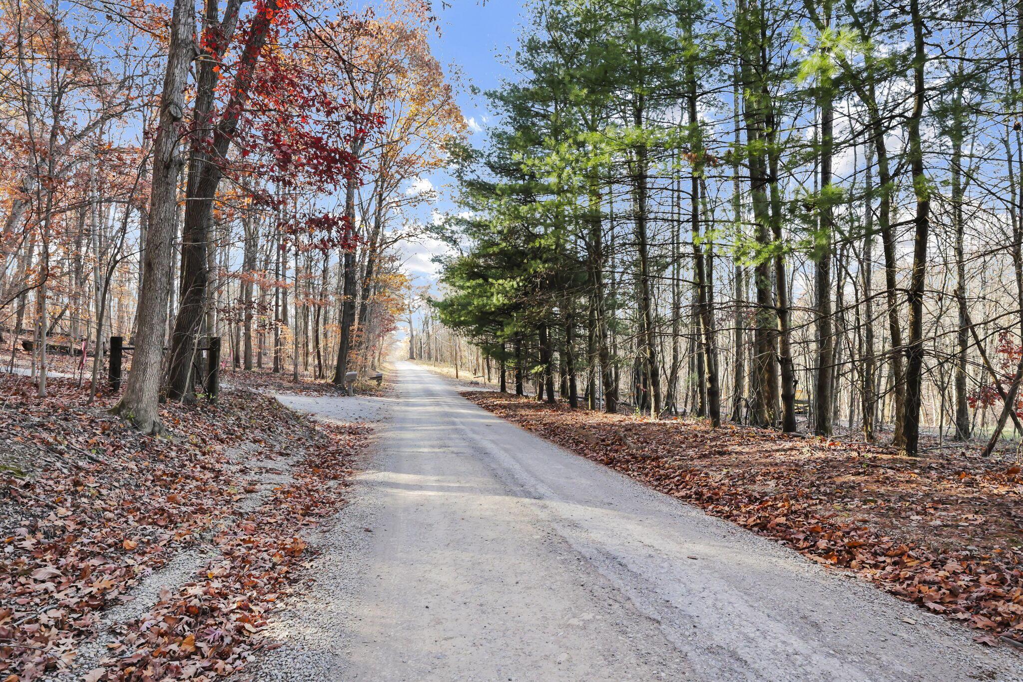 0 Mulberry Road Mount Perry, OH 43760 - Photo 11 of 16 41-web-or-mls-011A9865